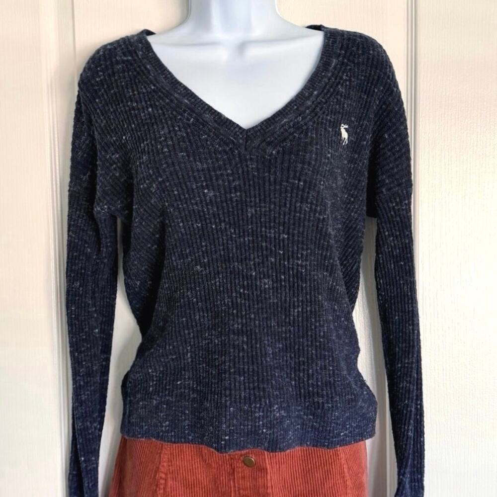 Abercrombie & Fitch V-Neck Knit Sweater Small Navy Gray White Moose Embroidered
